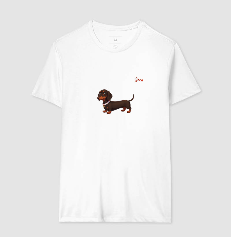 Dachshund