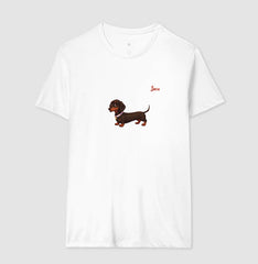 Dachshund