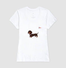 Dachshund