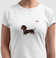 Dachshund