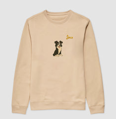 Border collie